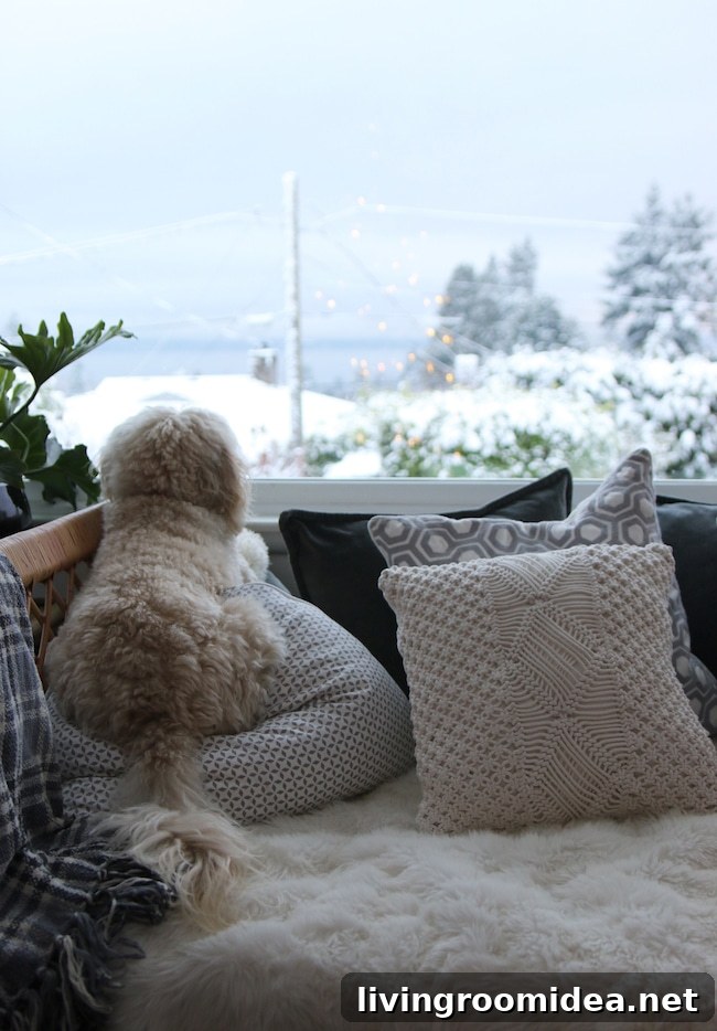 Snow Day Adventures and Winter Fairy Tales 6 img 100376 5 1