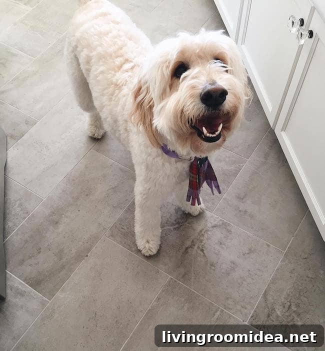 Recent Life Updates from My Instagram Feed 8 img 102147 7 1