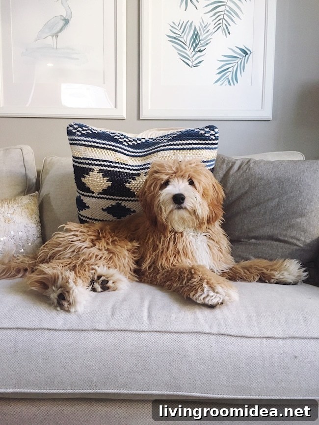 Recent Life Updates from My Instagram Feed 10 img 102147 9 1