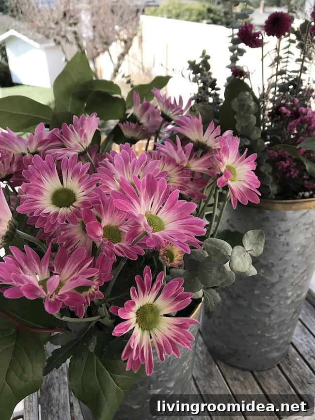 img 102587 17 1