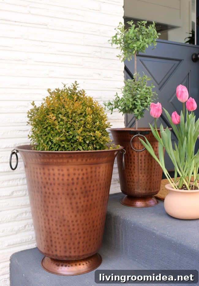 Outdoor Entertaining: Transform Your Yard into a Stylish Gathering Space 21 img 102587 20