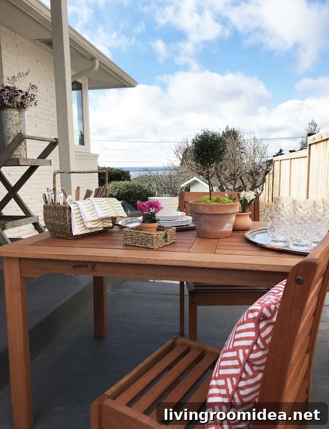 Outdoor Entertaining: Transform Your Yard into a Stylish Gathering Space 4 img 102587 3