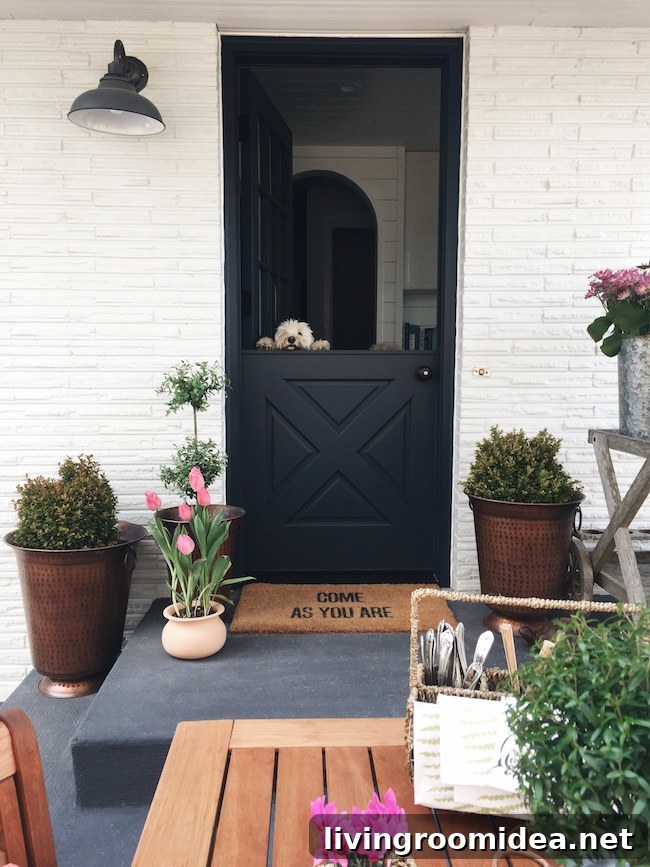 Outdoor Entertaining: Transform Your Yard into a Stylish Gathering Space 5 Lily - Dutch Door - The Inspired Room
