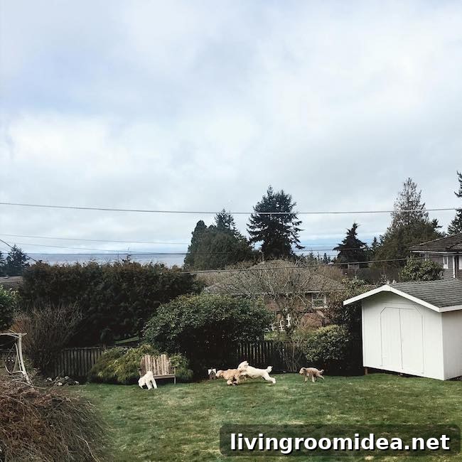 Recent Life Updates on Instagram: What I’ve Been Sharing 5 img 102648 4 1