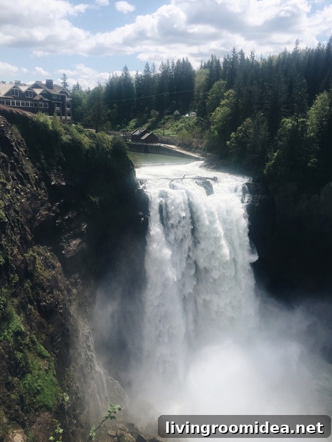 Snoqualmie Falls view