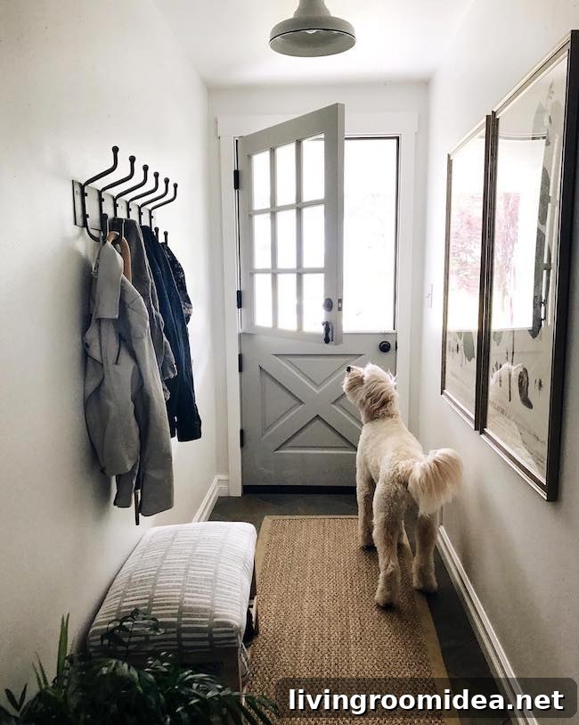 Our Dutch Doors: Installation Story, Costs, and FAQs 5 Our two Dutch doors - FAQ