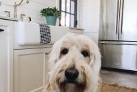 Recent Life Updates from My Instagram Feed