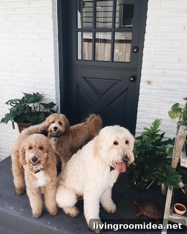 Recent Life Updates from My Instagram Feed 15 img 105060 14 1