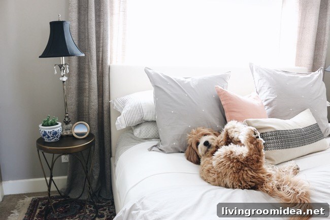Leo the Labradoodle - The Inspired Room