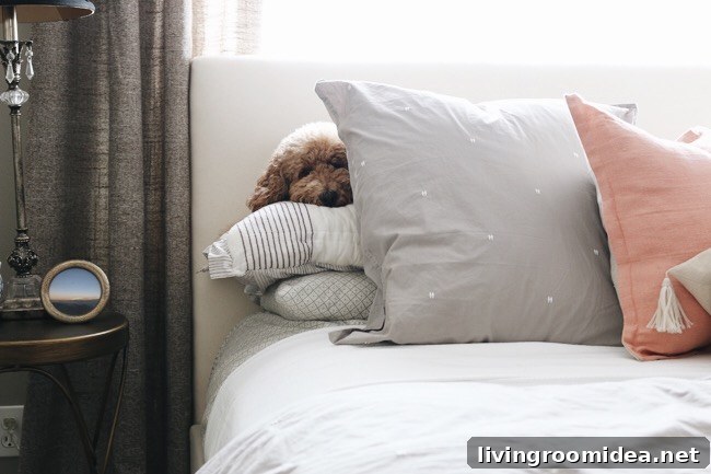 Bella the Labradoodle - The Inspired Room