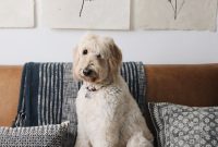 Cozy Textures That Transform Your Home (+$500 Gift Card Giveaway)
