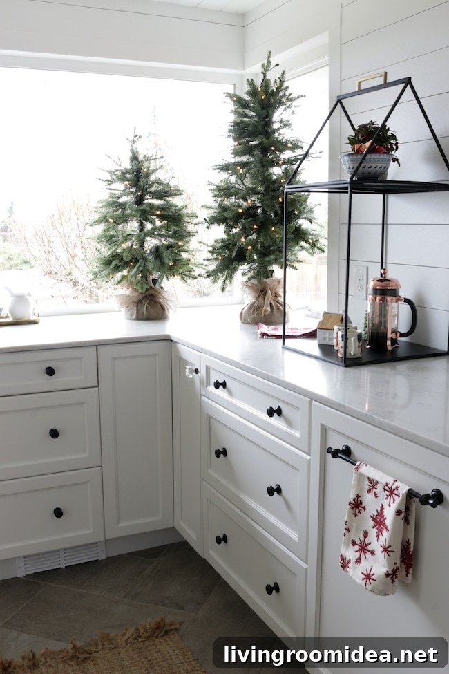 Christmas Trees and Holiday Traditions: Decorating Ideas & History 6 img 108467 5