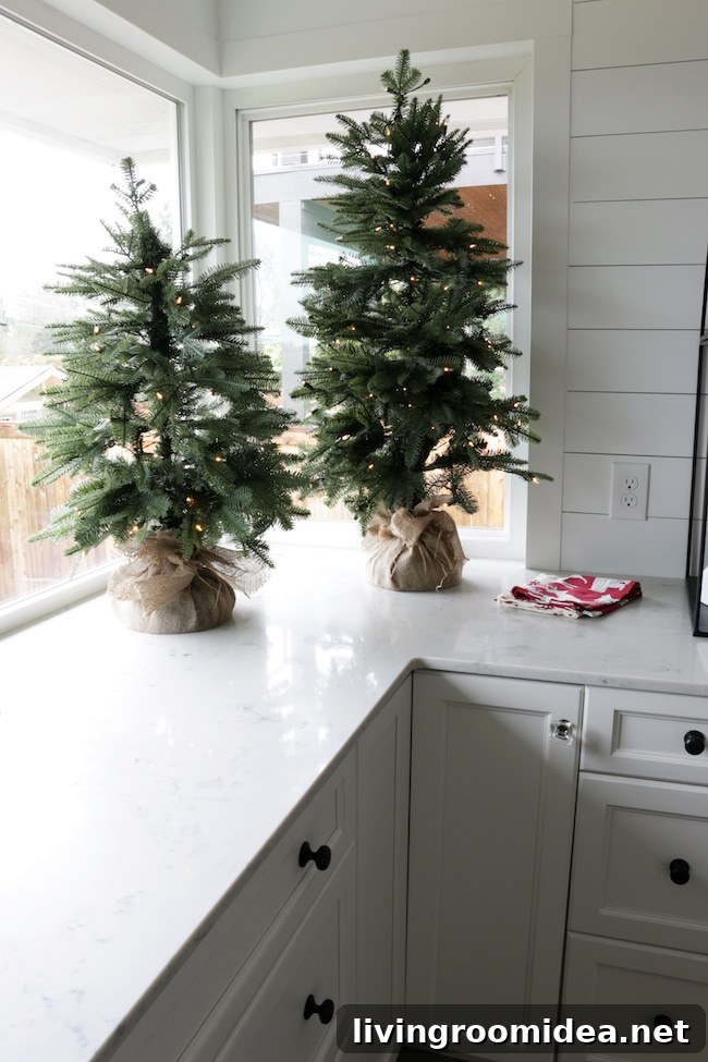 Christmas Trees and Holiday Traditions: Decorating Ideas & History 7 img 108467 6