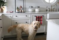 Christmas Kitchen Display Shelf Ideas for Festive Decor