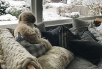 Merry Snow Day Brunch: Dutch Baby Recipes and Festive Ideas