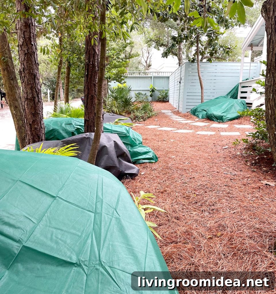 Outdoor plants covered with frost blankets during Florida freeze event