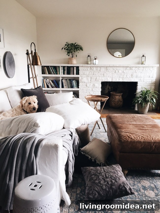 Keeping a Clean Home When You Have Dogs: Practical Tips 7 img 110323 6 2