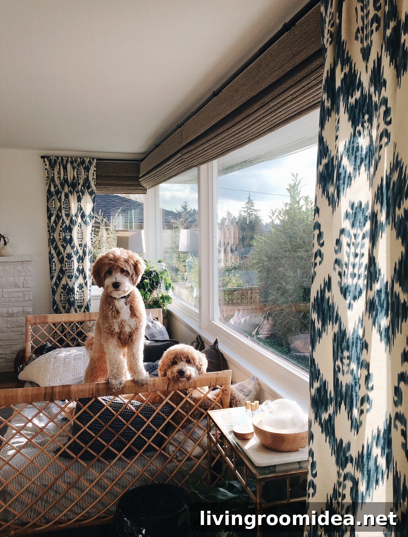 Keeping a Clean Home When You Have Dogs: Practical Tips 8 img 110323 7 2