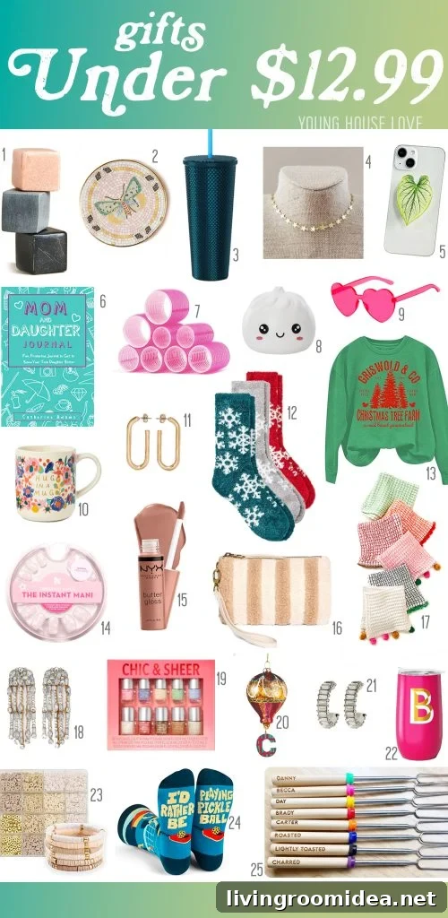Holiday Gift Guide Affordable Ideas Under Thirteen Dollars