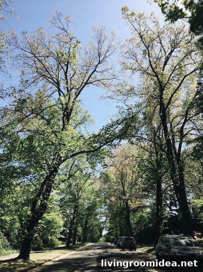 Drive Through Madison Park Seattle: What to See and Do 15 img 111459 14 1