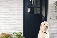 Home Life Update: What I’ve Been Doing Around the House