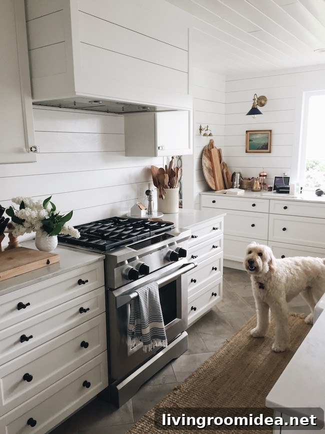 img 111601 3