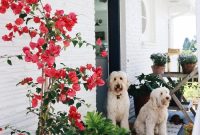 Painted Brick Exterior & Backyard Renovation: Part 1 Guide
