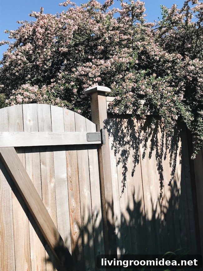 Arched Gate