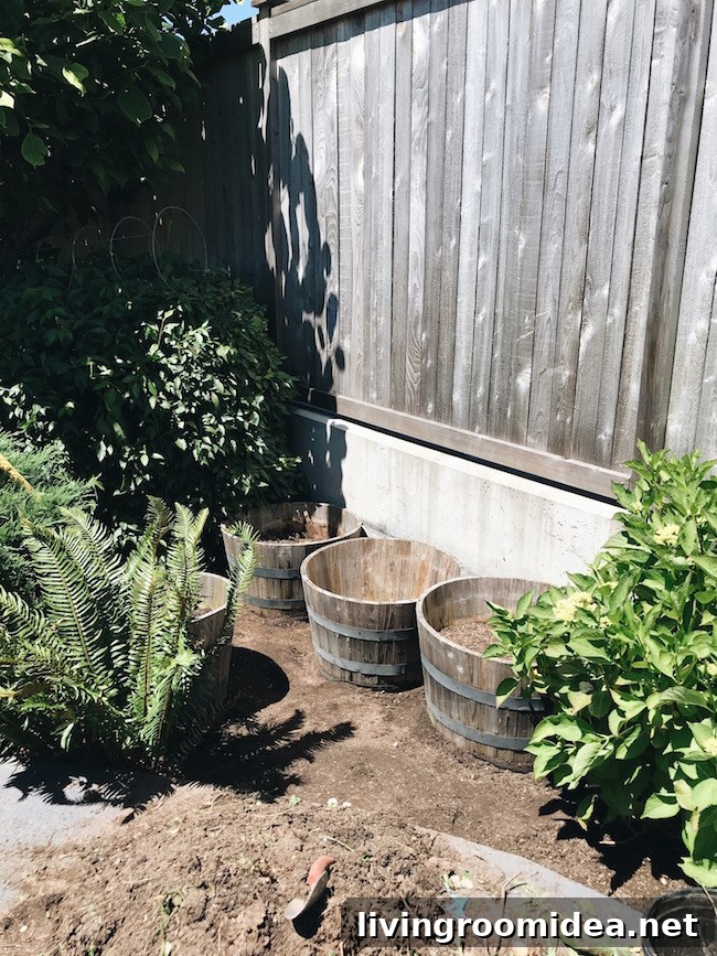 barrels