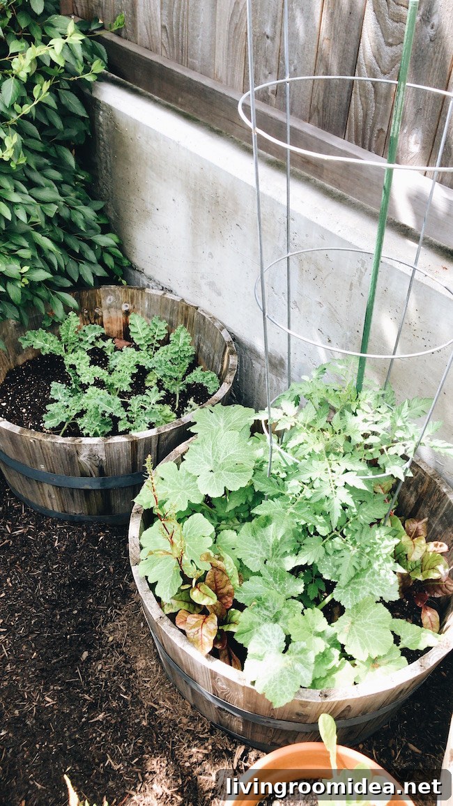 Gateless in Seattle: Urban Gardening and Community Growth 9 Vegetable Barrels Container Gardening