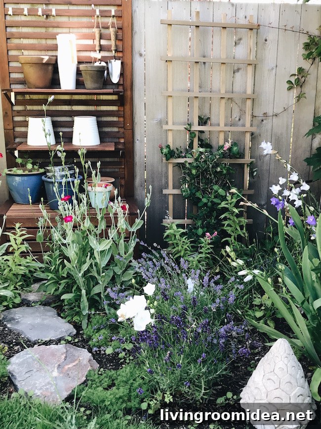Small Garden