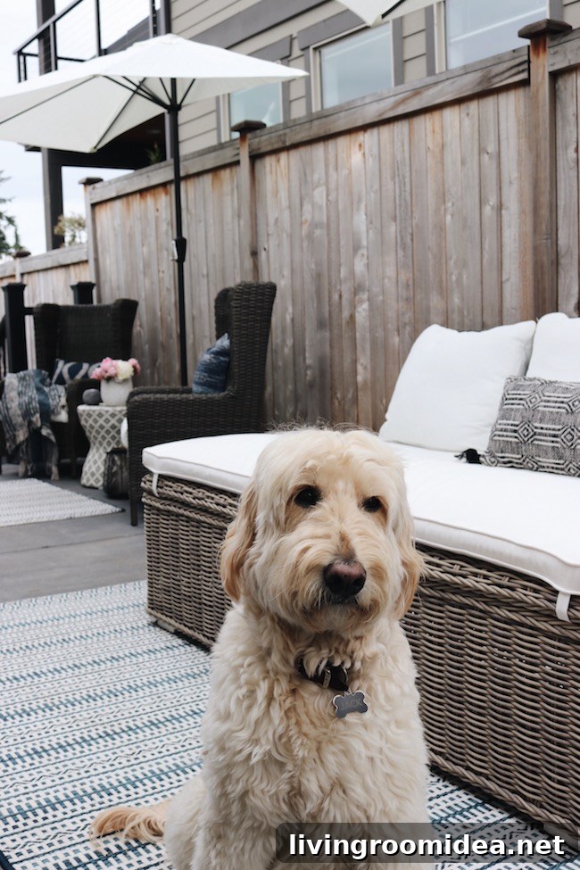 Prep Your Side Patio for Summer: Quick Upgrades and Styling Tips 13 img 111756 12 1