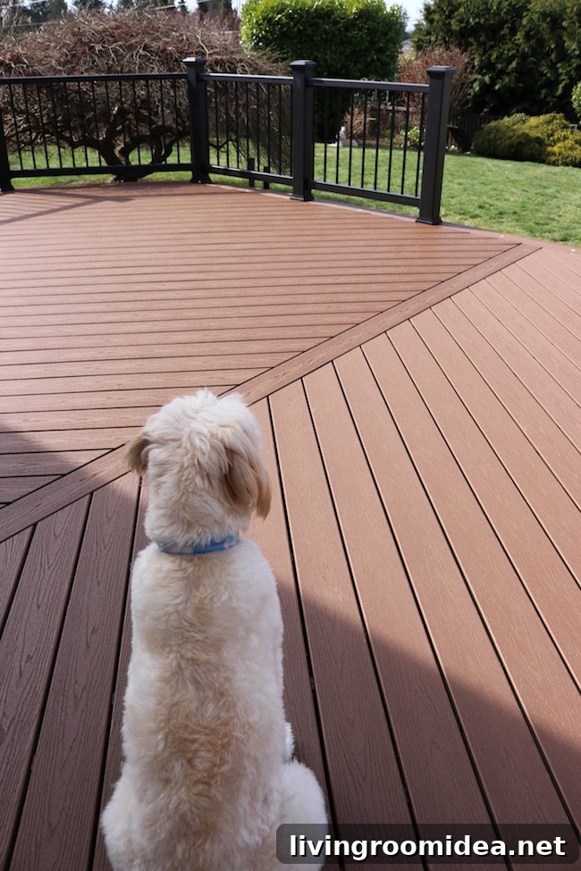 Trex Deck Build Progress: Mid-Project Photos and Sneak Peek 17 Trex Deck Saddle Charcoal Black Railing