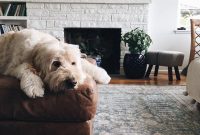 I Just Got a White Slipcovered Sofa — First Impressions & Tips