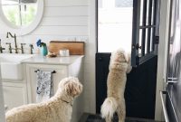 Top Places to Buy Cute Kitchen Towels Online and In-Store