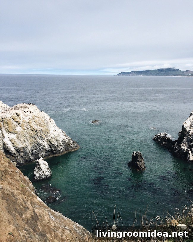 Newport and the Oregon Coast: Coastal Sights and Day Trip Guide 18 img 112675 19 1