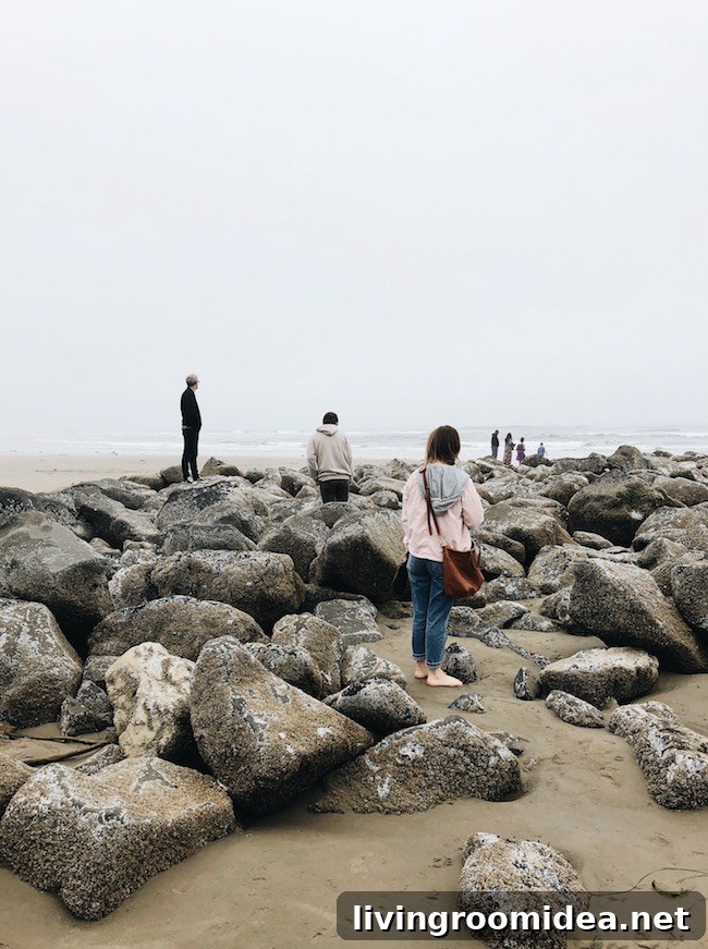 Newport and the Oregon Coast: Coastal Sights and Day Trip Guide 7 img 112675 6 1