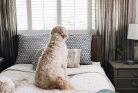 Cozy Home Makeover: Styling Your Rooms with Interior Shutters