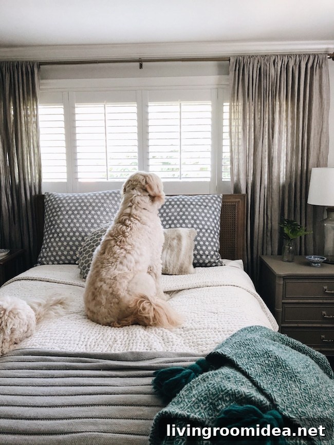 Cozy Home Makeover: Styling Your Rooms with Interior Shutters 2 Plantation Shutters