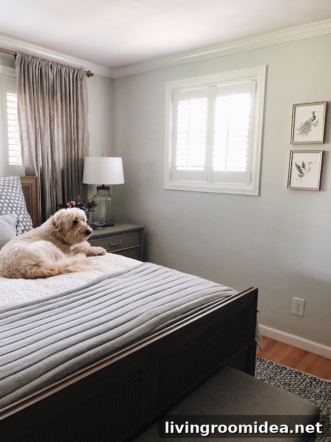 Cozy Home Makeover: Styling Your Rooms with Interior Shutters 4 Bedroom curtains and plantation shutters