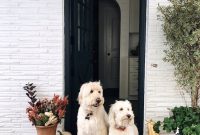 Cozy Fall Home Tour: Seasonal Decor Ideas and Inspiration