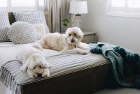 Create a Cozy Bedroom Retreat: Design Tips for Comfort and Style