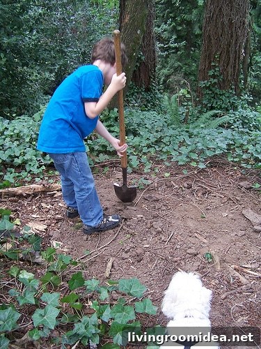 fun-summer-activities-for-kids