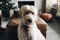 Merry Moments: What Life’s Been Like Lately
