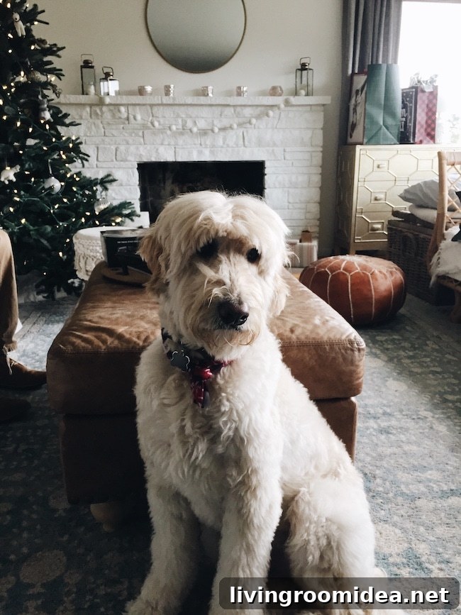 Merry Moments: What Life’s Been Like Lately 2 img 114191 1