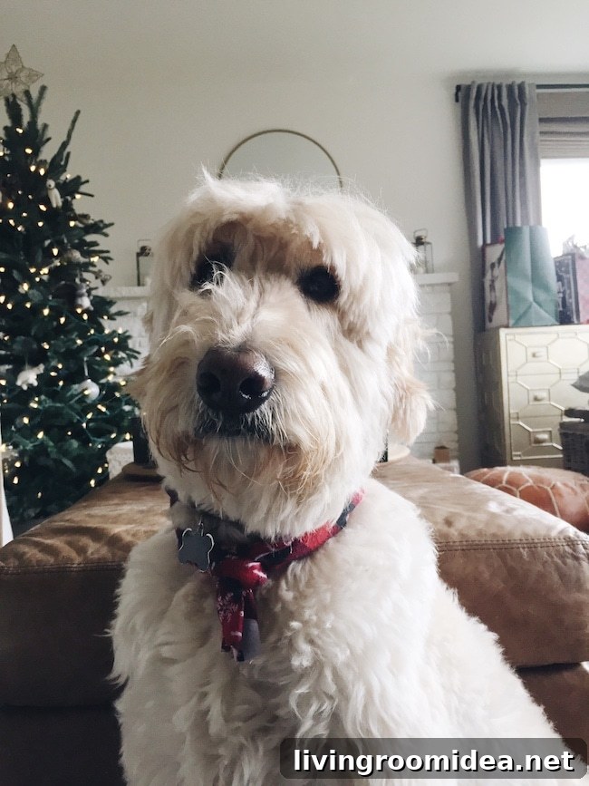 Merry Moments: What Life's Been Like Lately 19 img 114191 18 1