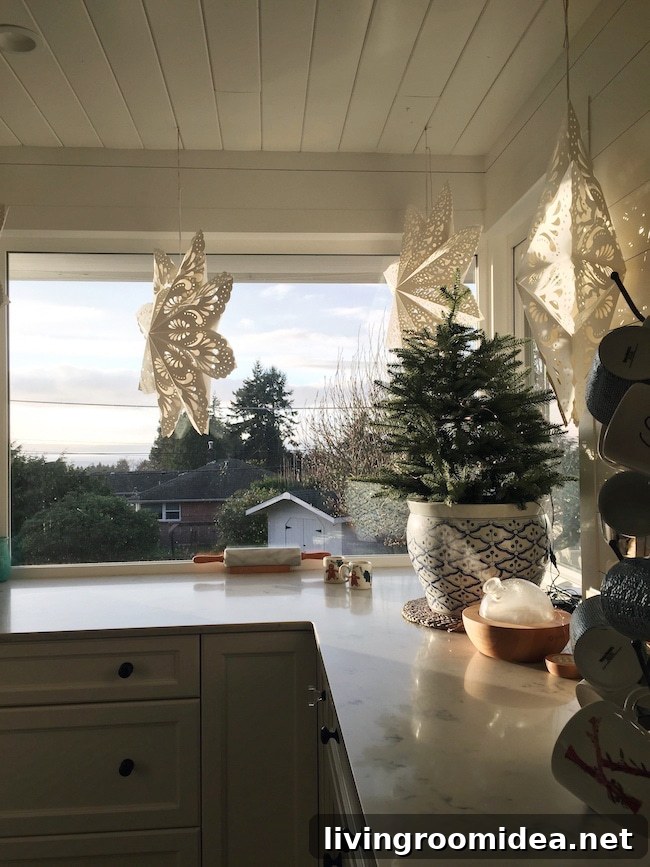 Merry Moments: What Life's Been Like Lately 24 img 114191 23 1