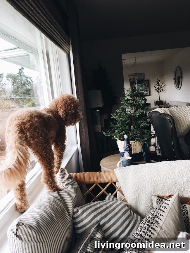 Merry Moments: What Life’s Been Like Lately 27 img 114191 26