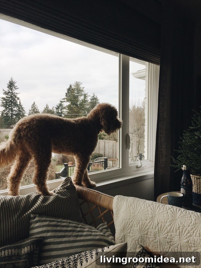 Merry Moments: What Life's Been Like Lately 28 img 114191 27 1