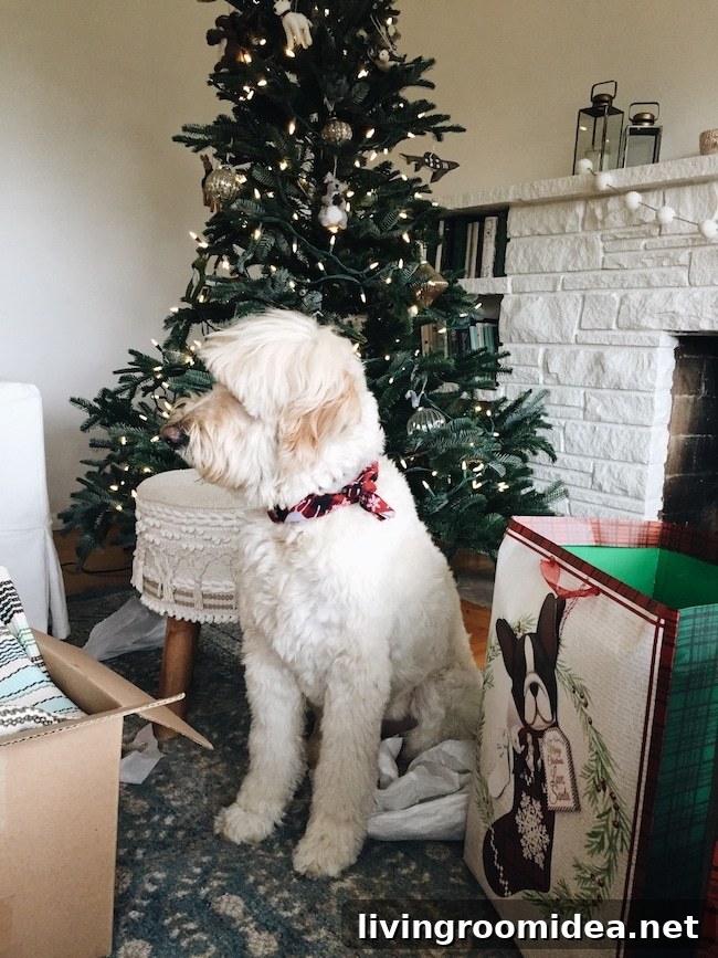 Merry Moments: What Life’s Been Like Lately 29 img 114191 28
